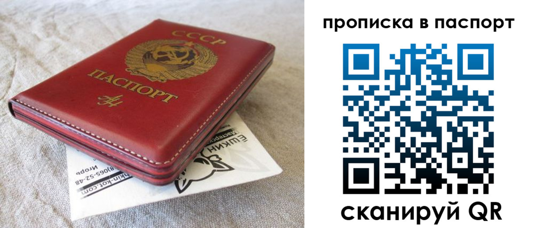 прописка штамп в Тайге
